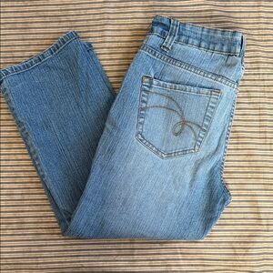 Vintage Faded Glory Floral Embroidered Denim Capris | Size 4